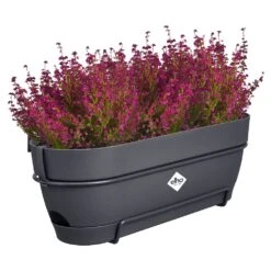 Elho Vibia Campana Balkonbak Allin1 50 Cm Zwart 11 Elho Vibia Campana Balkonbak Allin1 50 Cm Zwart -Buitentuin elho vibia campana balkonbak allin1 50 cm zwart 1000x1000 64aebb08e39c9 l