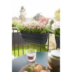 Elho Vibia Campana Balkonbak Allin1 50 Cm Zwart 14 Elho Vibia Campana Balkonbak Allin1 50 Cm Zwart -Buitentuin elho vibia campana balkonbak allin1 50 cm zwart 1000x1000 64aebb09acfcd l