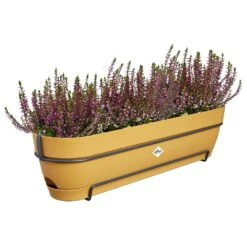 Elho Vibia Campana Balkonbak Allin1 70 Cm Geel -Buitentuin elho vibia campana balkonbak allin1 70 cm geel 1000x1000 64aebb1023747 l