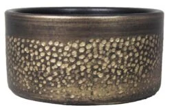 Floran Schaal Emma D24 H12.5cm Goud