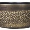 Floran Schaal Emma D29 H14cm Goud -Buitentuin floran schaal emma d29 h14cm goud 800x517 627e57b48bac6 l