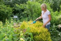 GARDENA Accu Gras- En Buxusschaar Set Accucut Li -Buitentuin gardena accu gras en buxusschaar set accucut li 1619704816 l