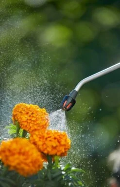 GARDENA Drukspuit 5 L -Buitentuin gardena drukspuit 5 l 1619704865 1 l