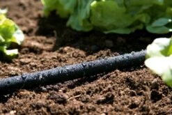 GARDENA Duizenddruppelslang 15m -Buitentuin gardena duizenddruppelslang 15m 1619704664 1 l