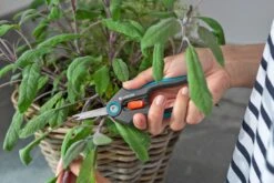 GARDENA FreshCut -Buitentuin gardena freshcut 1500x1000 640af8175f65c l