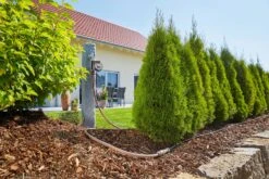 GARDENA Micro-Drip-System Startset M 25m Autom. Rijplanten -Buitentuin gardena startset m 25m autom 1500x1000 640af4f6bb51a l