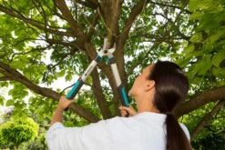 GARDENA Takkenschaar EasyCut 500 B -Buitentuin gardena takkenschaar easycut 500 b 1500x1000 640af7e5d4f80 l