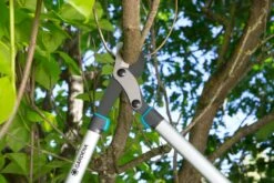 GARDENA Takkenschaar EnergyCut 750 B 7 GARDENA Takkenschaar EnergyCut 750 B -Buitentuin gardena takkenschaar energycut 750 b 1500x1000 640af848a316f l