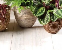 Mand Waterhyacint 3 Kl. Ass - Ø 28 X H 28 Cm -Buitentuin mand waterhyacint 3 kl ass 28 x h 28 cm 1000x799 624172ea8fa43 l