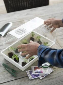 Nature Deksel Voor Kweekbak 55x31cm -Buitentuin nature deksel voor kweekbak 55x31cm 595x800 6214a0230c942 l