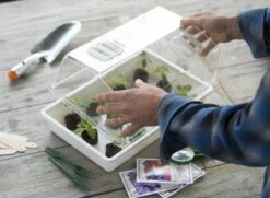 Nature Deksel Voor Kweekbak 55x31cm -Buitentuin nature deksel voor kweekbak 55x31cm 800x587 6214a0233f631 l