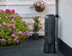 Nature Slimline' Regenton Groen - 100L -Buitentuin nature slimline regenton groen 100l 1582732977 l