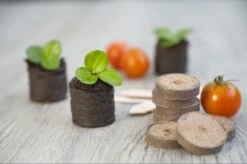 Nature Turftabletten 48st -Buitentuin nature turftabletten 48st 800x532 6214a01453d91 l