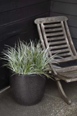 Pot Bol Zwart - Ø 44 X H 45 Cm -Buitentuin pot bol i 45x44 zwart 667x1000 620e6fe7a49f4 l