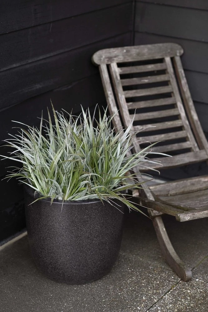 Pot Bol Zwart - Ø 63 X H 65 Cm 4 Pot Bol Zwart - Ø 63 X H 65 Cm - Afbeelding 2