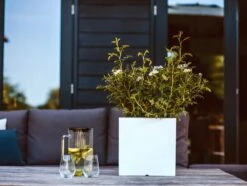 Pot Vierkant Wit - 20 X 20 X 20 Cm -Buitentuin pot vierkant i 20x20x20 wit 1000x754 620e6fddc8846 l