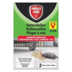 Protect Home Val Ratten Plastic 2 Stuks