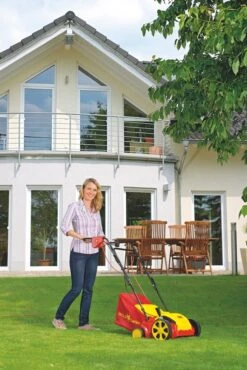 WOLF-Garten Elektro Verticuteermachine VA 303 E -Buitentuin wolf garten elektro verticuteermachine va 303 e 1619177784 1 l